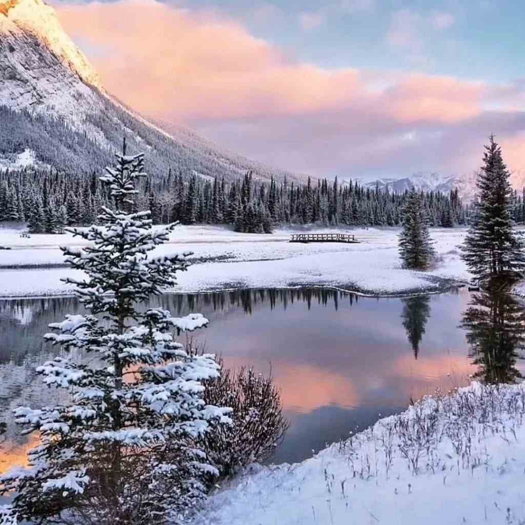دانلود آهنگ اگه با موشک بزنن تو خونمون تنها پناهگاه من زنده خوانی مترو دانلود آهنگ اگه با موشک بزنن تو خونمون تنها پناهگاه من زنده خوانی مترو